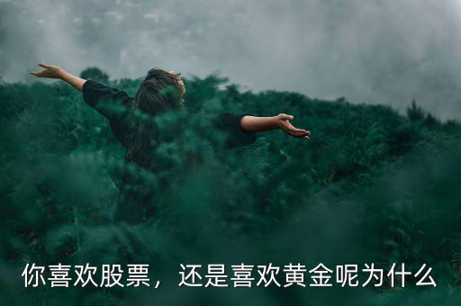 你喜歡股票，還是喜歡黃金呢為什么