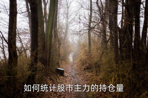 如何統(tǒng)計(jì)股市主力的持倉量