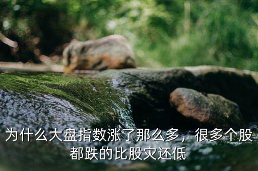 為什么大盤指數(shù)漲了那么多，很多個(gè)股都跌的比股災(zāi)還低