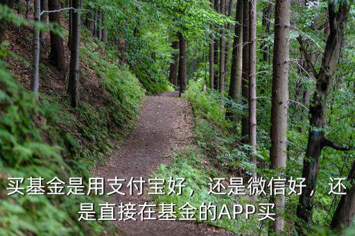買(mǎi)基金是用支付寶好，還是微信好，還是直接在基金的APP買(mǎi)