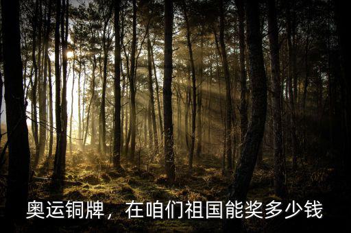 奧運銅牌，在咱們祖國能獎多少錢