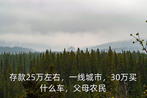 存款25萬(wàn)左右，一線城市，30萬(wàn)買什么車，父母農(nóng)民