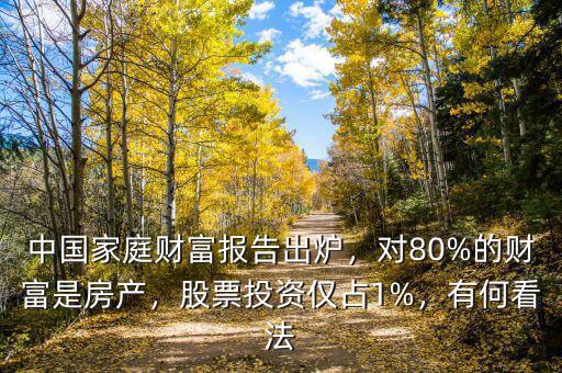 中國家庭財富報告出爐，對80%的財富是房產(chǎn)，股票投資僅占1%，有何看法