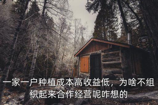 一家一戶種植成本高收益低，為啥不組織起來合作經營呢咋想的