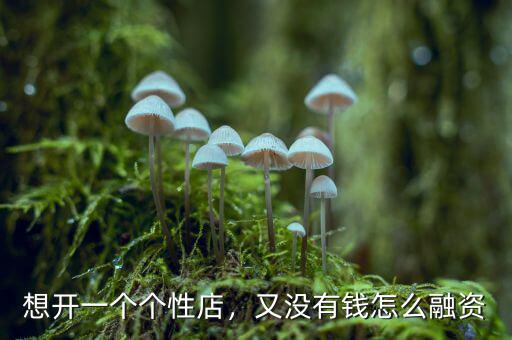 沒(méi)有錢(qián)怎么融資,但是沒(méi)有資金