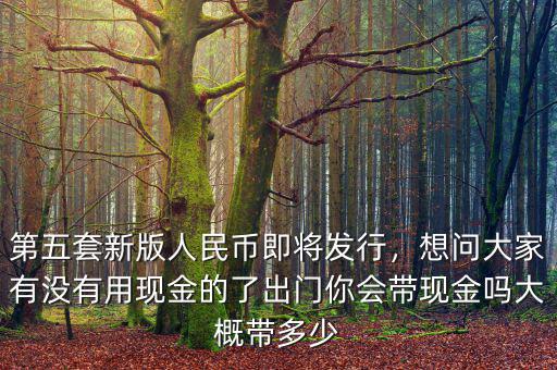 第五套新版人民幣即將發(fā)行，想問大家有沒有用現(xiàn)金的了出門你會帶現(xiàn)金嗎大概帶多少