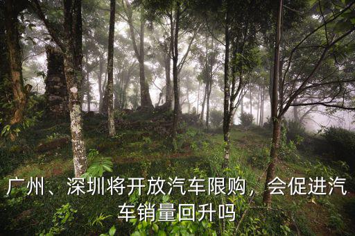 廣州、深圳將開放汽車限購，會(huì)促進(jìn)汽車銷量回升嗎