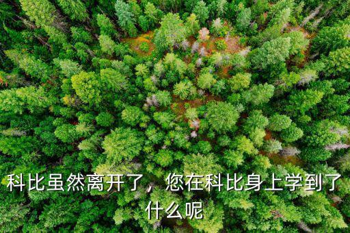 科比雖然離開了，您在科比身上學(xué)到了什么呢