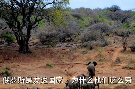 俄羅斯是發(fā)達國家，為什么他們這么窮