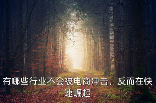 有哪些行業(yè)不會(huì)被電商沖擊，反而在快速崛起