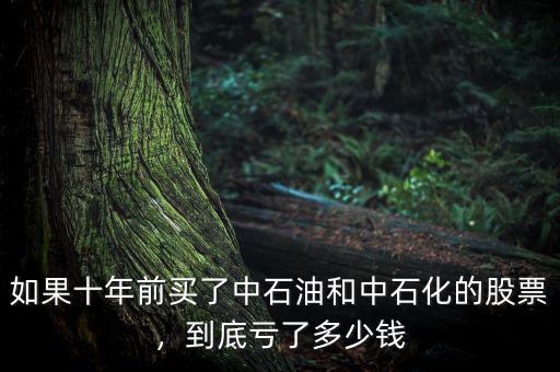 如果十年前買了中石油和中石化的股票，到底虧了多少錢