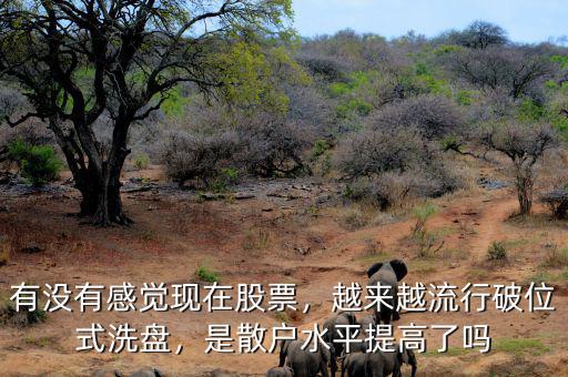 有沒有感覺現(xiàn)在股票，越來越流行破位式洗盤，是散戶水平提高了嗎
