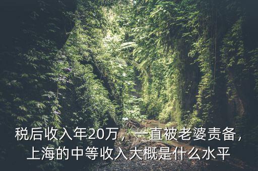稅后收入年20萬，一直被老婆責備，上海的中等收入大概是什么水平