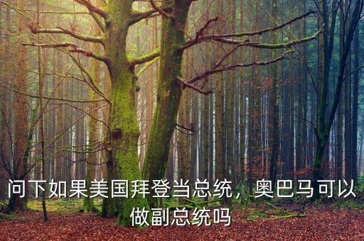 問下如果美國(guó)拜登當(dāng)總統(tǒng)，奧巴馬可以做副總統(tǒng)嗎