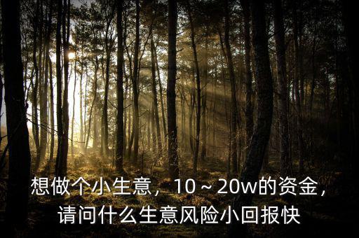 想做個小生意，10～20w的資金，請問什么生意風險小回報快