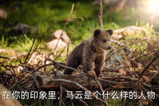 在你的印象里，馬云是個什么樣的人物