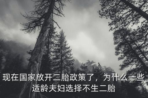 現(xiàn)在國家放開二胎政策了，為什么一些適齡夫婦選擇不生二胎