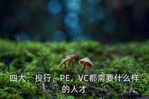 四大、投行、PE、VC都需要什么樣的人才