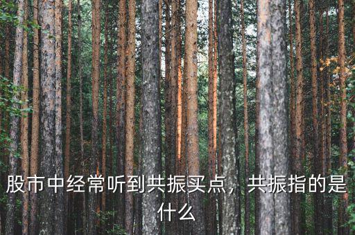 股市中經(jīng)常聽到共振買點(diǎn)，共振指的是什么