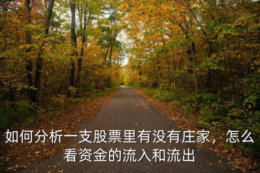 如何分析一支股票里有沒有莊家，怎么看資金的流入和流出