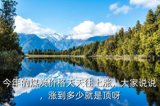 今年的煤炭價格天天往上漲，大家說說，漲到多少就是頂呀