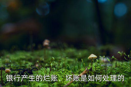 銀行產(chǎn)生的爛賬、壞賬是如何處理的