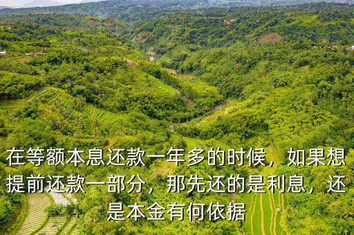 在等額本息還款一年多的時(shí)候，如果想提前還款一部分，那先還的是利息，還是本金有何依據(jù)