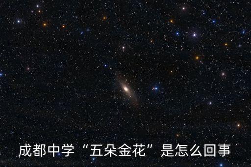 成都中學“五朵金花”是怎么回事