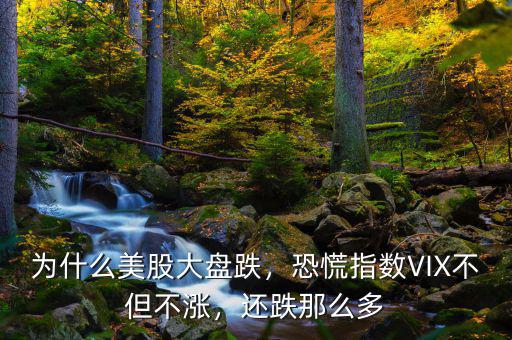 為什么美股大盤跌，恐慌指數(shù)VIX不但不漲，還跌那么多
