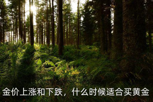 金價(jià)上漲和下跌，什么時(shí)候適合買黃金