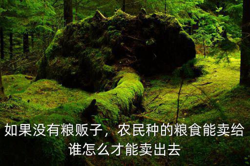 如果沒有糧販子，農(nóng)民種的糧食能賣給誰怎么才能賣出去
