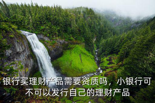 銀行買理財(cái)產(chǎn)品需要資質(zhì)嗎，小銀行可不可以發(fā)行自己的理財(cái)產(chǎn)品