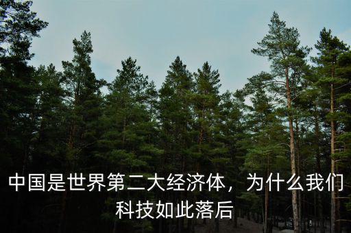 中國稅為什么是世界第二,中國是世界第二大經濟體