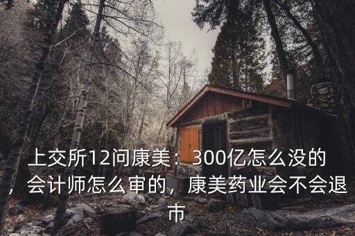 上交所12問康美：300億怎么沒的，會(huì)計(jì)師怎么審的，康美藥業(yè)會(huì)不會(huì)退市