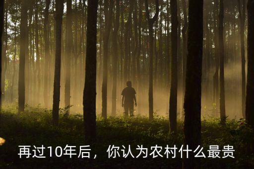 再過10年后，你認為農村什么最貴