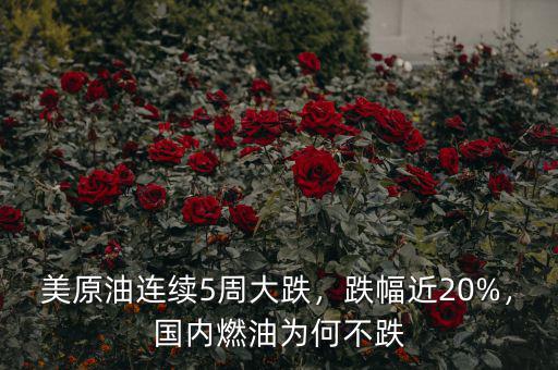 美原油連續(xù)5周大跌，跌幅近20%，國內(nèi)燃油為何不跌