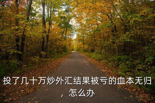 投了幾十萬炒外匯結果被虧的血本無歸，怎么辦