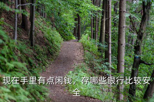 現(xiàn)在手里有點(diǎn)閑錢，存哪些銀行比較安全