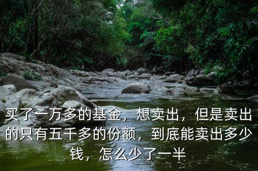買了一萬多的基金，想賣出，但是賣出的只有五千多的份額，到底能賣出多少錢，怎么少了一半