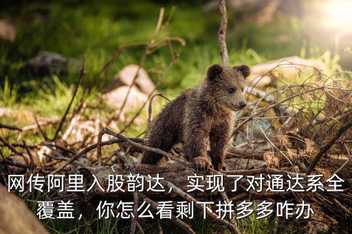 網(wǎng)傳阿里入股韻達(dá)，實(shí)現(xiàn)了對(duì)通達(dá)系全覆蓋，你怎么看剩下拼多多咋辦