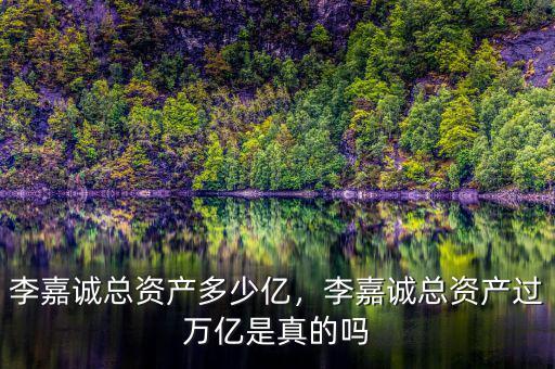 李嘉誠總資產多少億，李嘉誠總資產過萬億是真的嗎