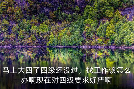 馬上大四了四級還沒過，找工作該怎么辦啊現(xiàn)在對四級要求好嚴啊