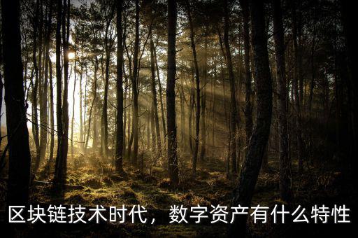區(qū)塊鏈技術時代，數(shù)字資產有什么特性