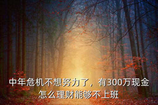 中年危機(jī)不想努力了，有300萬現(xiàn)金怎么理財(cái)能夠不上班