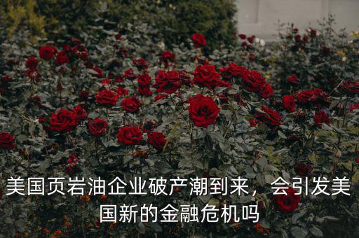 美國頁巖油企業(yè)破產(chǎn)潮到來，會引發(fā)美國新的金融危機嗎