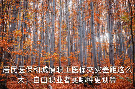 居民醫(yī)保和城鎮(zhèn)職工醫(yī)保交費(fèi)差距這么大，自由職業(yè)者買哪種更劃算