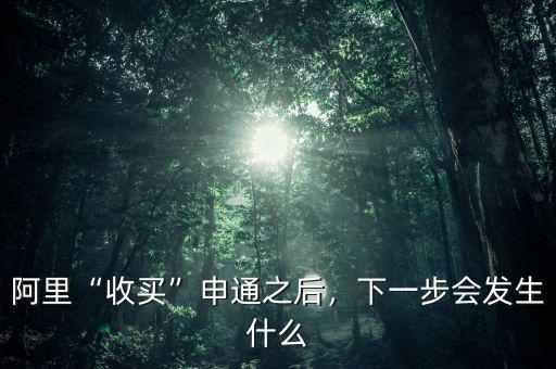 阿里“收買(mǎi)”申通之后，下一步會(huì)發(fā)生什么