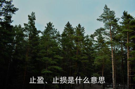 止盈、止損是什么意思