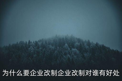 為什么要企業(yè)改制企業(yè)改制對(duì)誰有好處