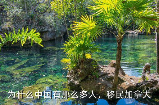 為什么中國有那么多人，移民加拿大